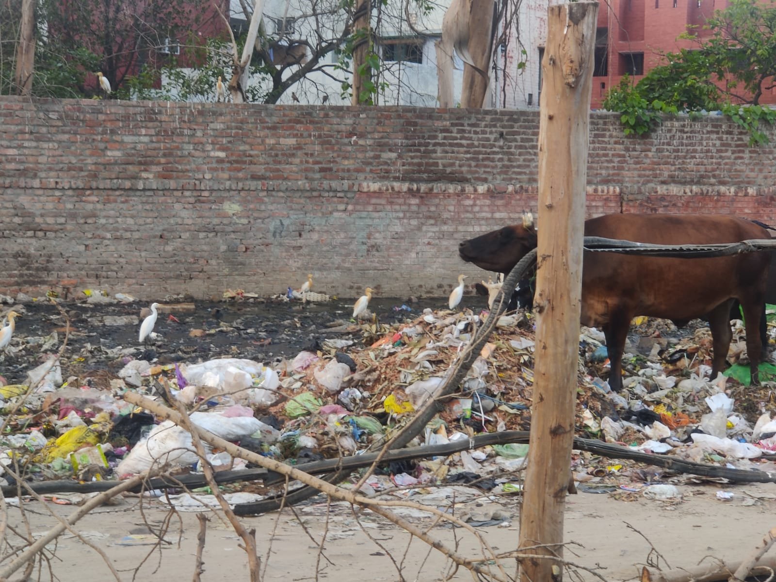 ਸ਼ਮਸ਼ਾਨ ਘਾਟ ਦੇ ਨਾਲ ਲੱਗੇ ਕੂੜੇ ਦੇ ਡੰਪ ਨੂੰ ਖਤਮ ਕੀਤਾ ਜਾਵੇ 