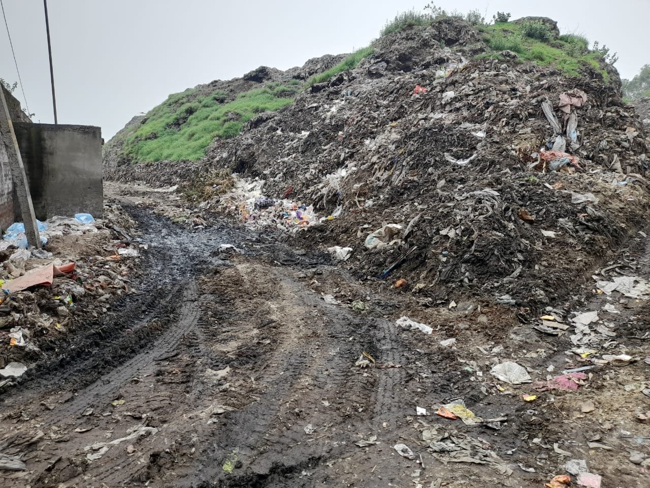 Temporary dump of kapurthala is taking shape of mini waryana Dump
