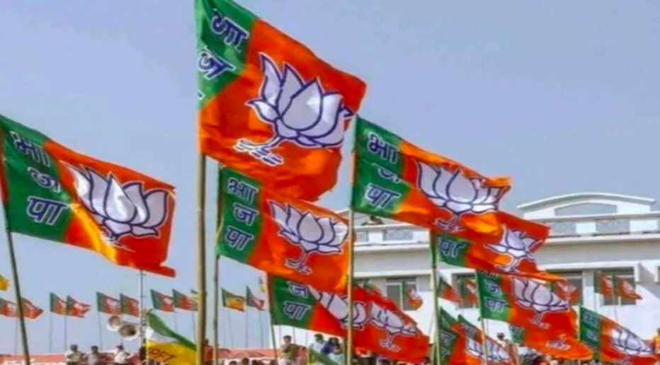 Lok Sabha Election: ओडिशा में BJP ने चुनाव समितियों का किया एलान, इन दिग्गज नेताओं के कंधों पर दी बड़ी जिम्मेदारी