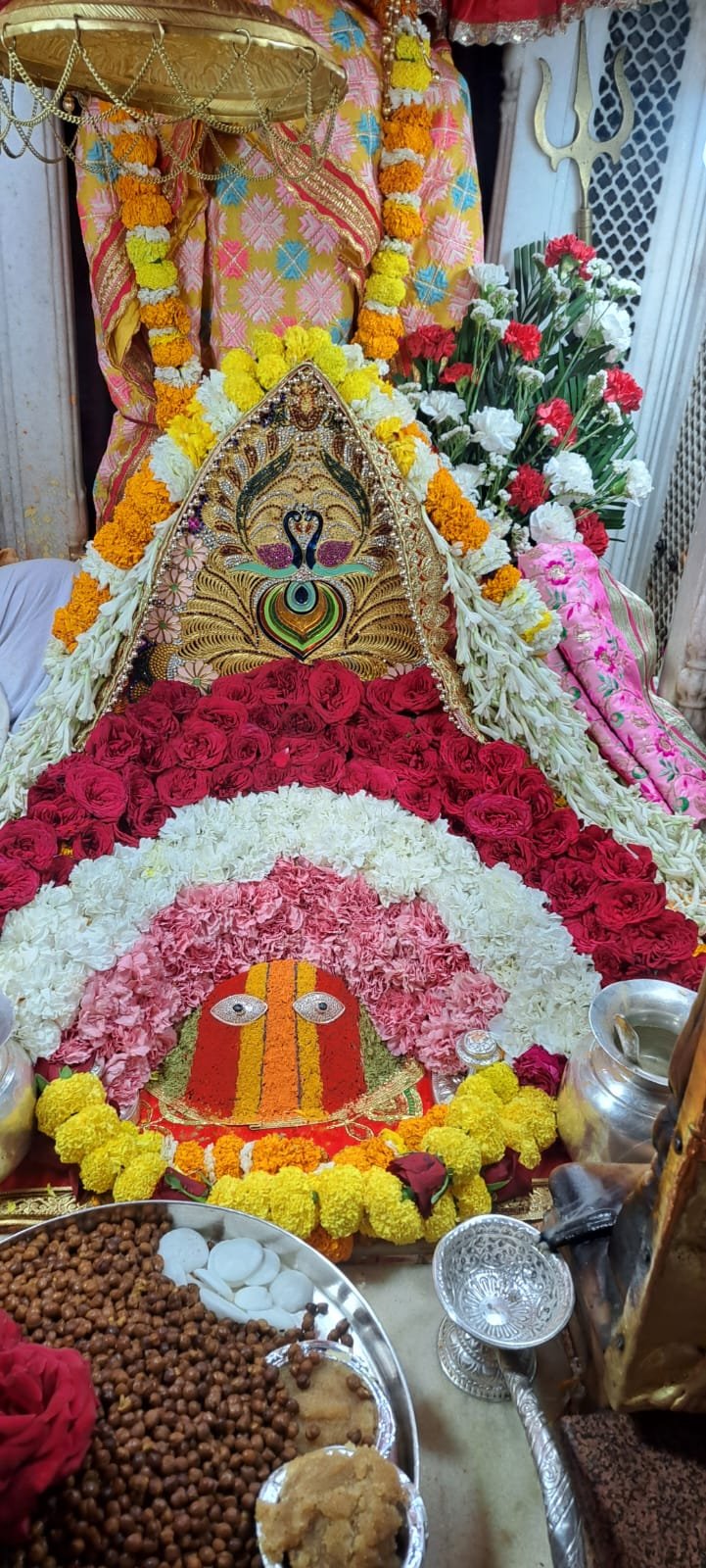   !  गायत्री  !