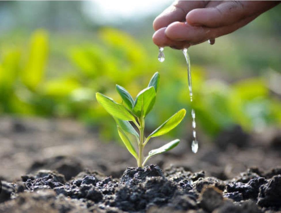 ਜ਼ਿਲ੍ਹਾ ਵਾਸੀਆਂ ਨੂੰ ਜਲੰਧਰ ਨੂੰ ਸਾਫ-ਸੁਥਰਾ, ਹਰਿਆ-ਭਰਿਆ ਤੇ ਪ੍ਰਦੂਸ਼ਣ ਮੁਕਤ ਬਣਾਉਣ ਦਾ ਦਿੱਤਾ ਸੱਦਾ