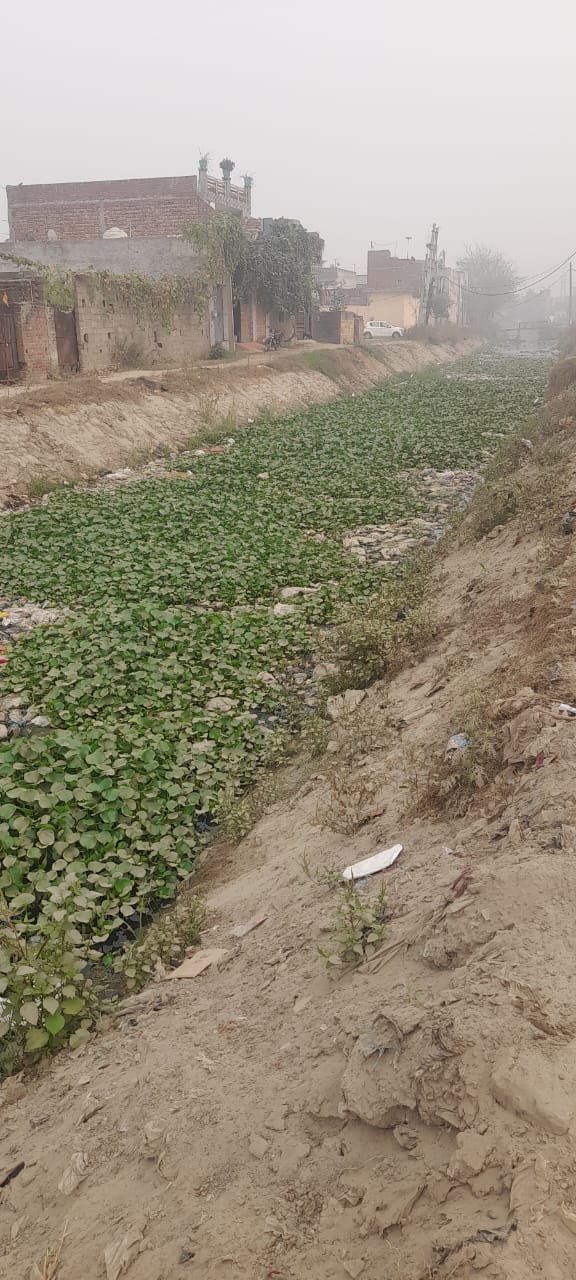 ਵਾਰਡ ਨੰਬਰ 78 ਦੇ ਹਾਲਾਤ ਖਸਤਾ, ਜਗਦੀਸ਼ ਸਮਰਾਏ ਦਾ ਨੰਬਰ 1 ਦੀ ਬਾਅਦਾ ਨਿਕਲਿਆ ਝੁੰਠਾ। 