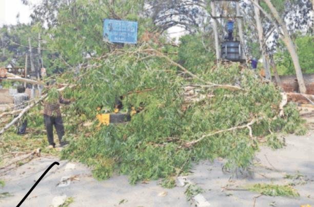 ਕਾਂਗਰਸ ਭਵਨ ਰਾਜਿੰਦਰ ਨਗਰ ਦੇ ਸਾਮਣੇ ਰਾਤ ਨੂੰ ਸਫ਼ੈਦੇ ਦਾ ਦਰਖ਼ਤ ਡਿੱਗਣ ਨਾਲ ਰਸਤਾ ਹੋਇਆ ਬੰਦ ।