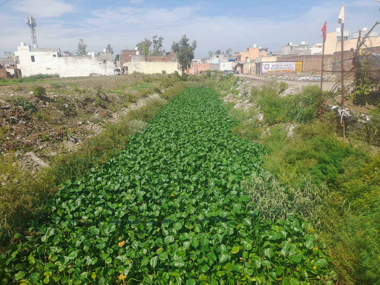 ਗੰਦੇ ਨਾਲੇ ਦੀ ਸਫ਼ਾਈ ਨਾਂ ਹੋਣ  ਕਾਰਨ ਬਰਸਾਤ ਦੀ ਮਾਰ ਝੁੱਗੀ ਝੋਪੜੀਆਂ ਰਹਿਣ ਵਾਲੇ ਲੋਕਾਂ ਨੂੰ ਪਏਗੀ : ਬਲਵੀਰ ਕੌਰ 