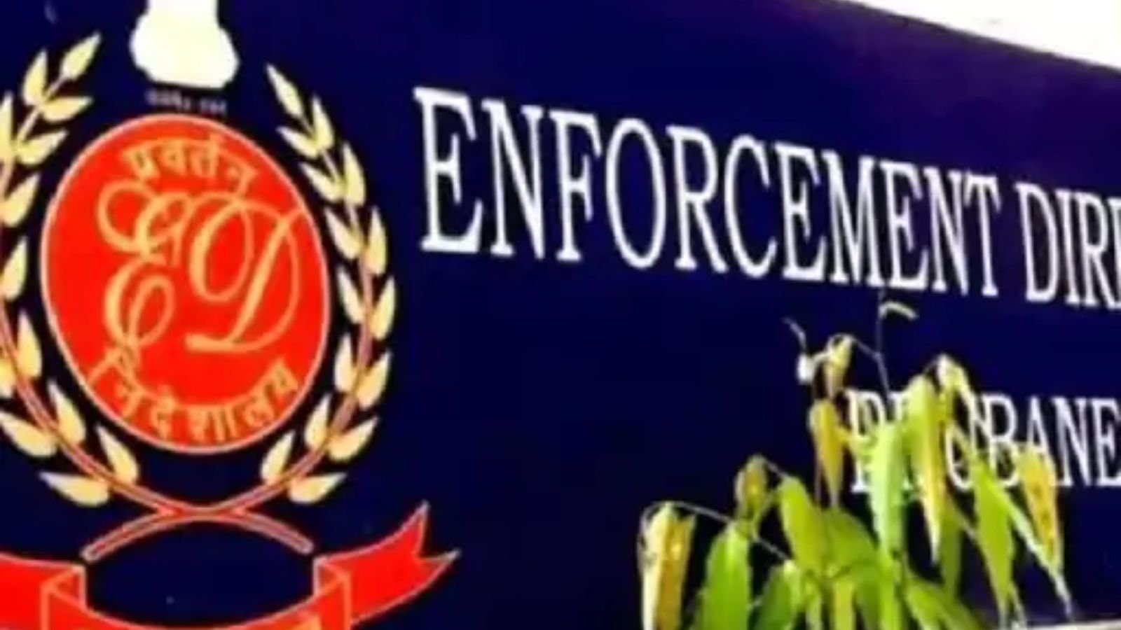 ED ने जालंधर, लुधियाना, समेत इन जगहों पर की रेड, इस मामले पर लिया एक्शन