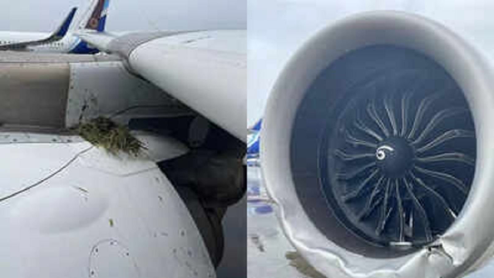 Big Breaking : मुंबई में बड़ा प्लेन हादसा होने से टला, Air India का प्लेन रनवे से फिसला