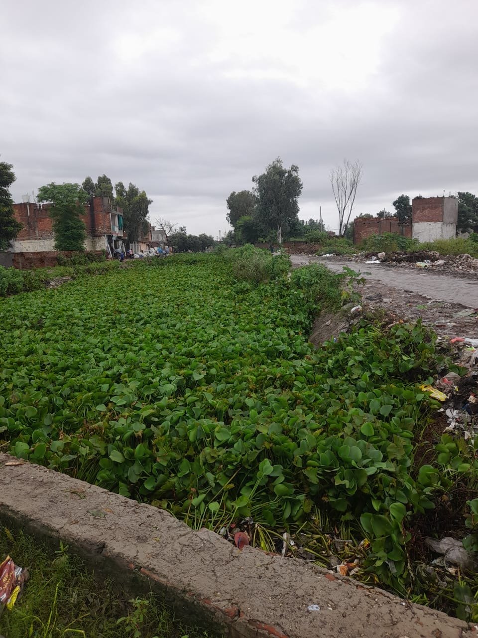 ਰਤਨ ਨਗਰ ਦੇ ਆਲੇ ਦੁਆਲੇ  ਦੀ ਝੁੱਗੀ ਝੋਪੜੀਆਂ ਅਤੇ ਘਰਾਂ ਵਿੱਚ ਵੀ ਨਾਲੇ ਦਾ ਪਾਣੀ ਜਾ ਰਿਹਾ ਹੈ