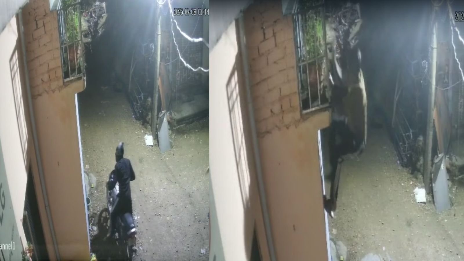 जालंधर में बहादुरी की मिसाल: युवक ने छत से छलांग लगाकर लुटेरों का किया साहसिक सामना, देखें Video