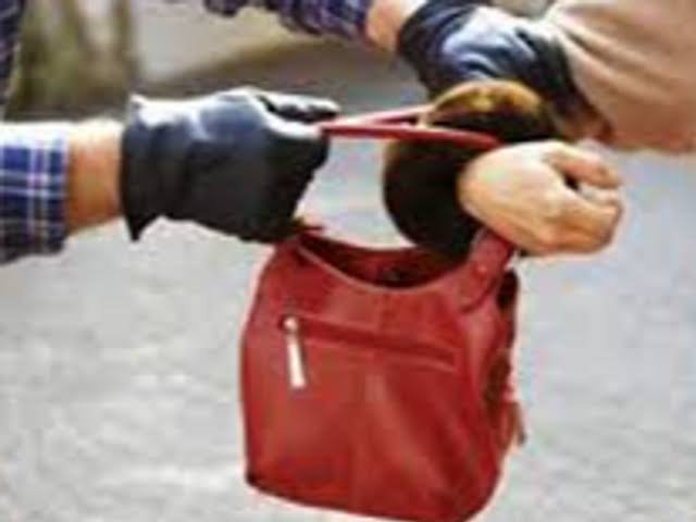 आटो में बैठी महिला से लुटेरों ने झपटा पर्स  पढ़ें पूरी खबर 