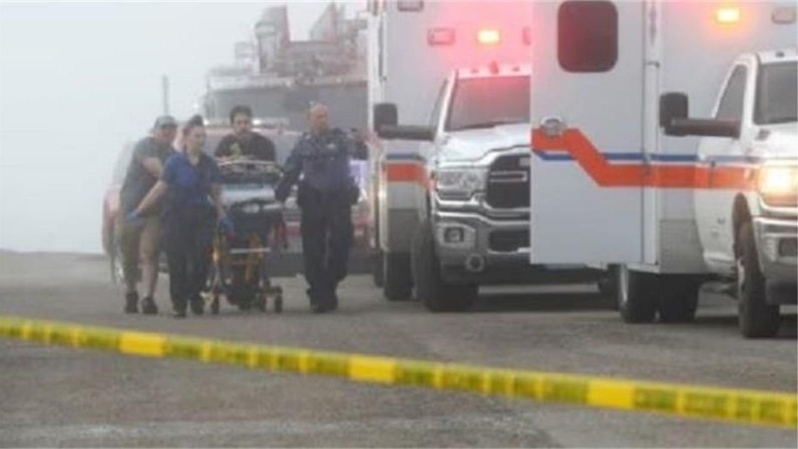 मैक्सिन नेवी का अमेरिका में प्लेन क्रैश, हादसे में इतने लोगों की मौत