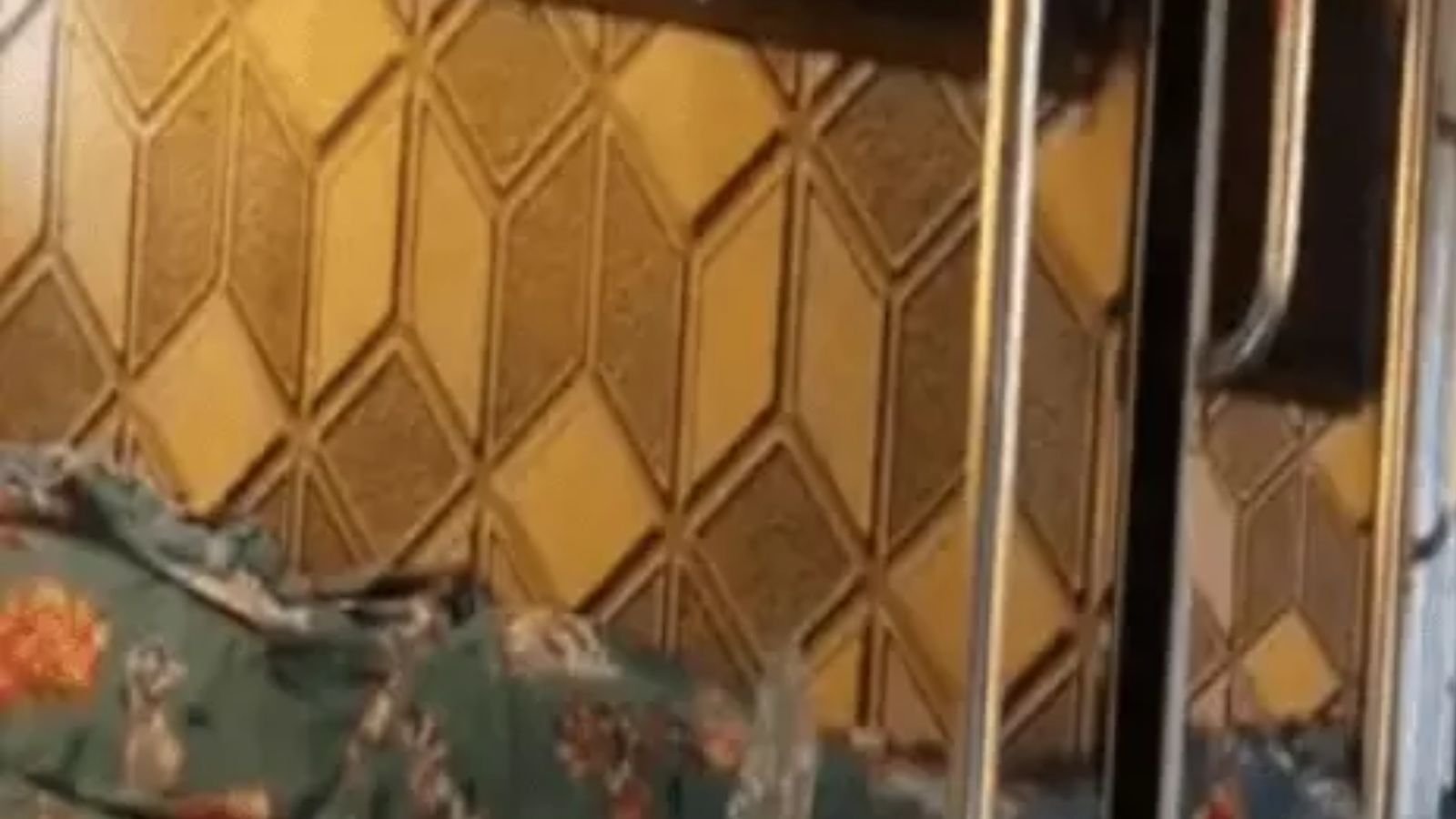 जालंधर के पठानकोट चौक पर हंगामा, बस सवारियों ने ड्राइवर से की मारपीट और तोड़फोड़