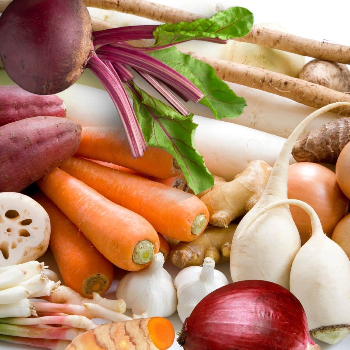 *सर्दियों में रूट वेजिटेबल खाने के फायदे*