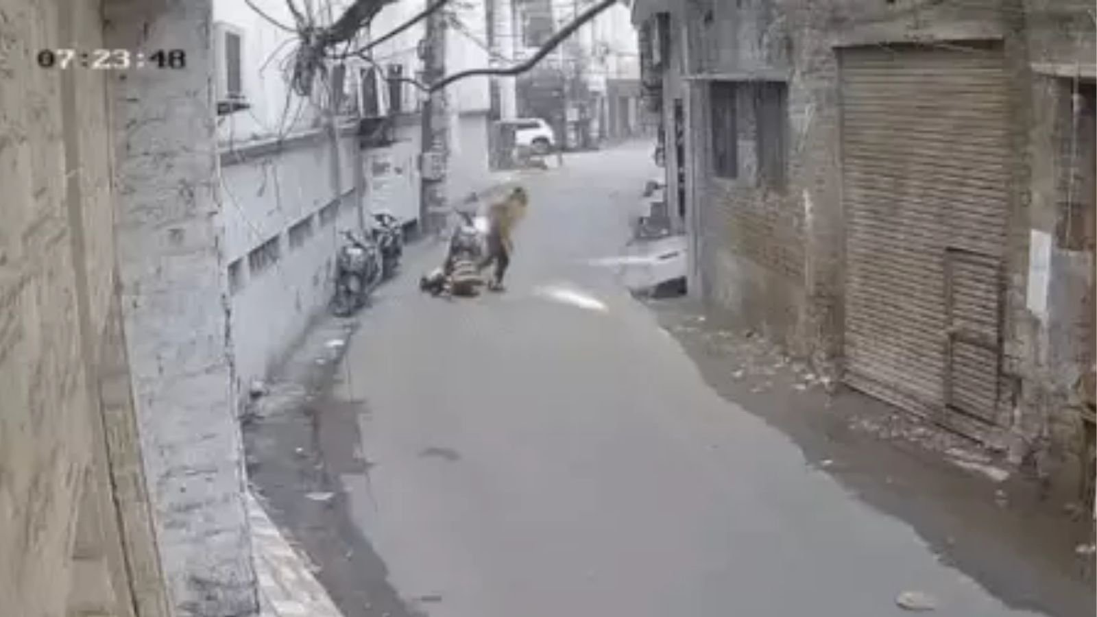 अमृतसर में फोन छीनने आए स्नैचर से भिड़ गई लड़की, लगा दी जान की बाजी