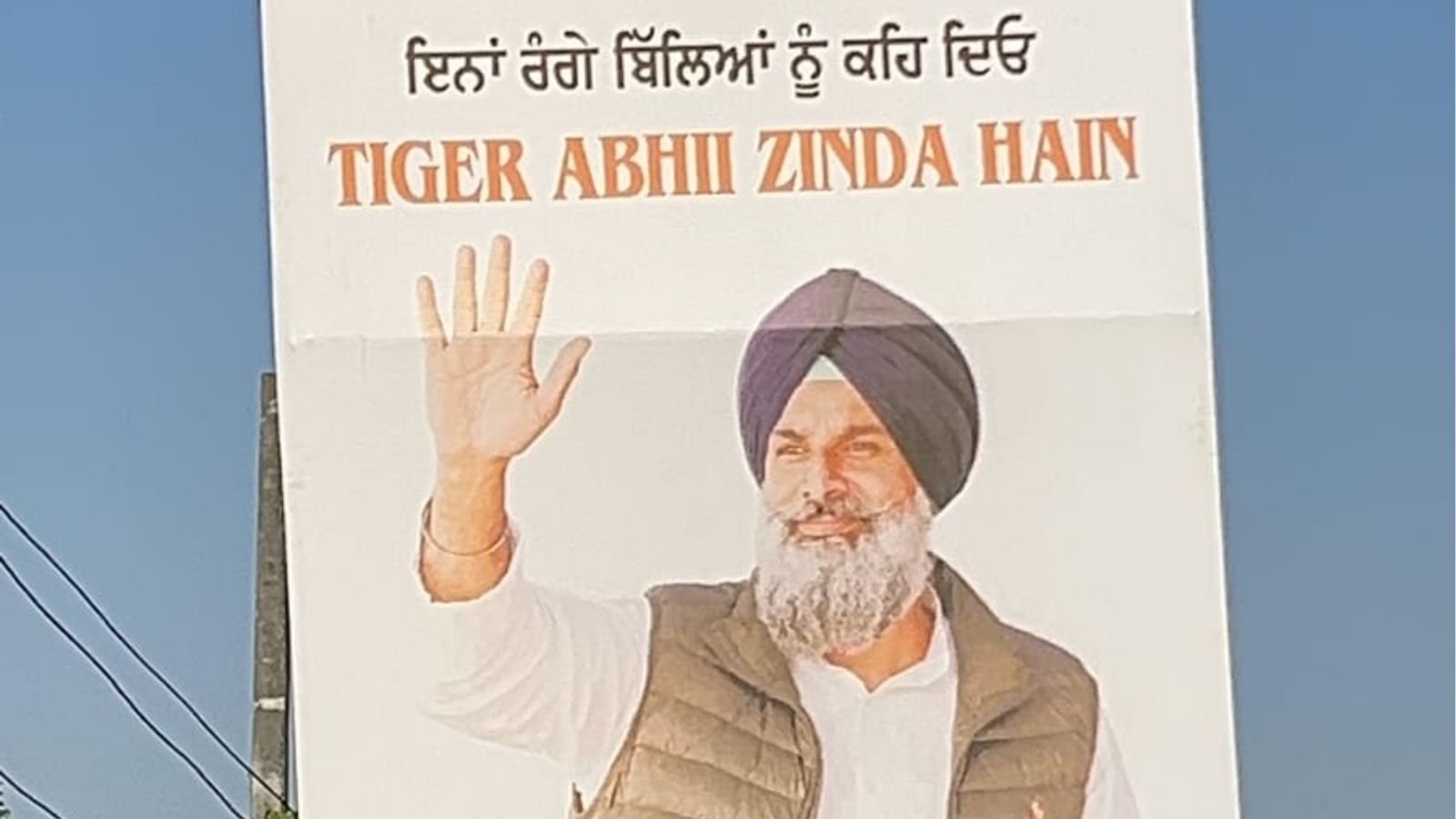 FIR के बाद पोस्टर राजनीति गरमाई, मजीठिया को लेकर 'टाइगर अभी जिंदा है' वाले पोस्टर लगे