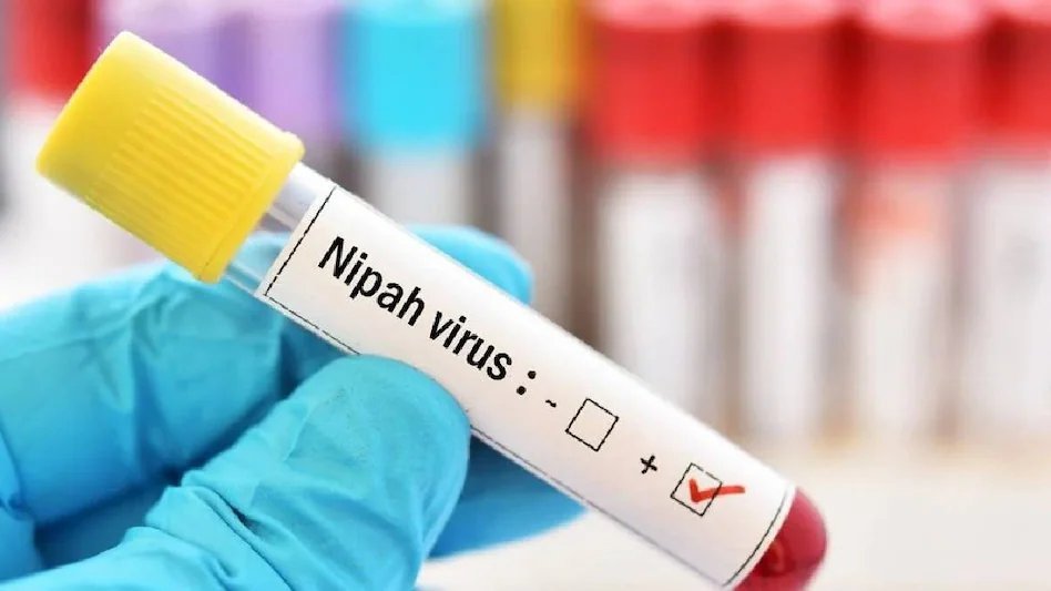 निपाह वायरस ने दी दस्तक, केरल सरकार ने जारी किया हाई अलर्ट